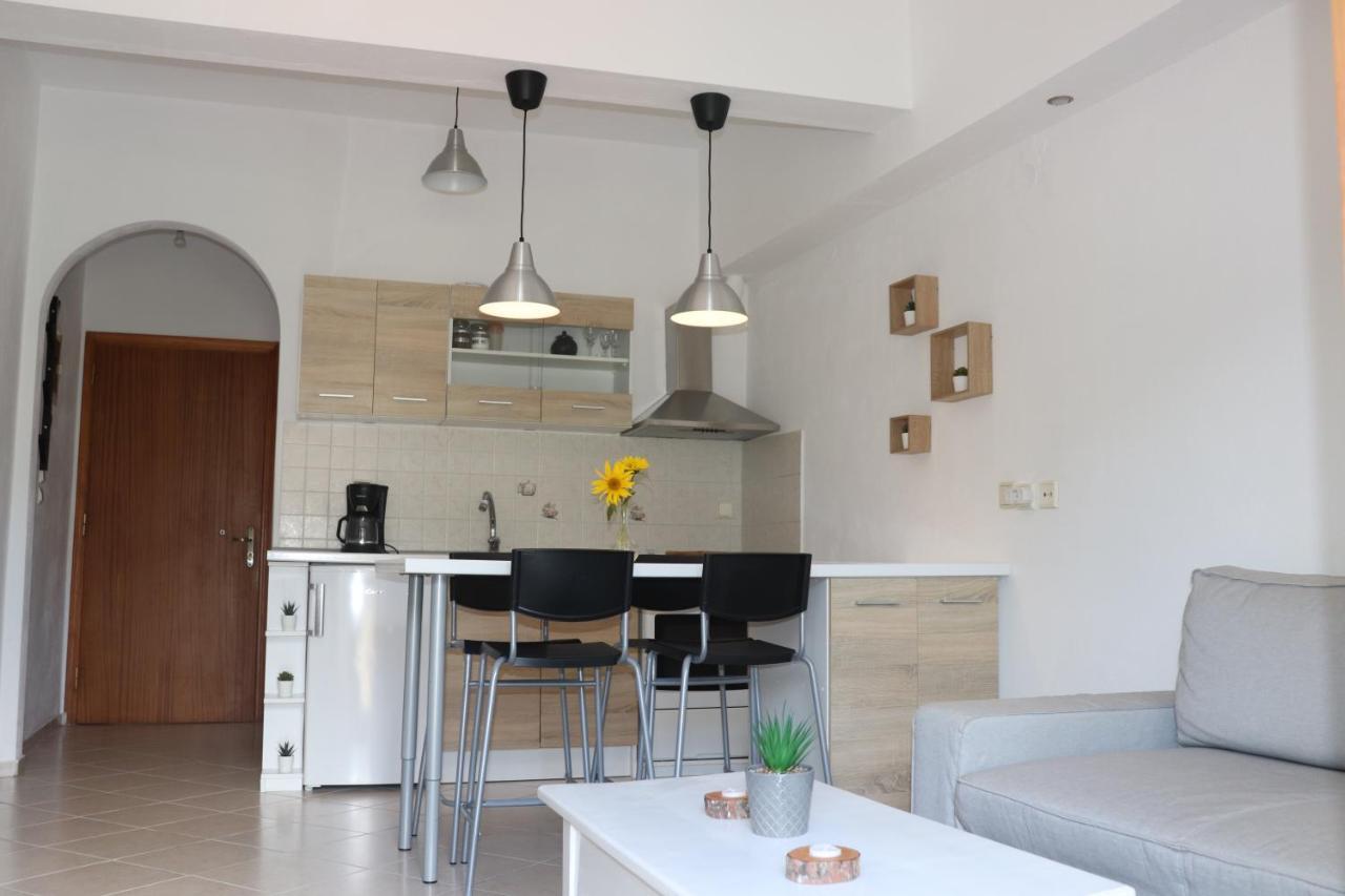 Baou House Apartment Metsovo