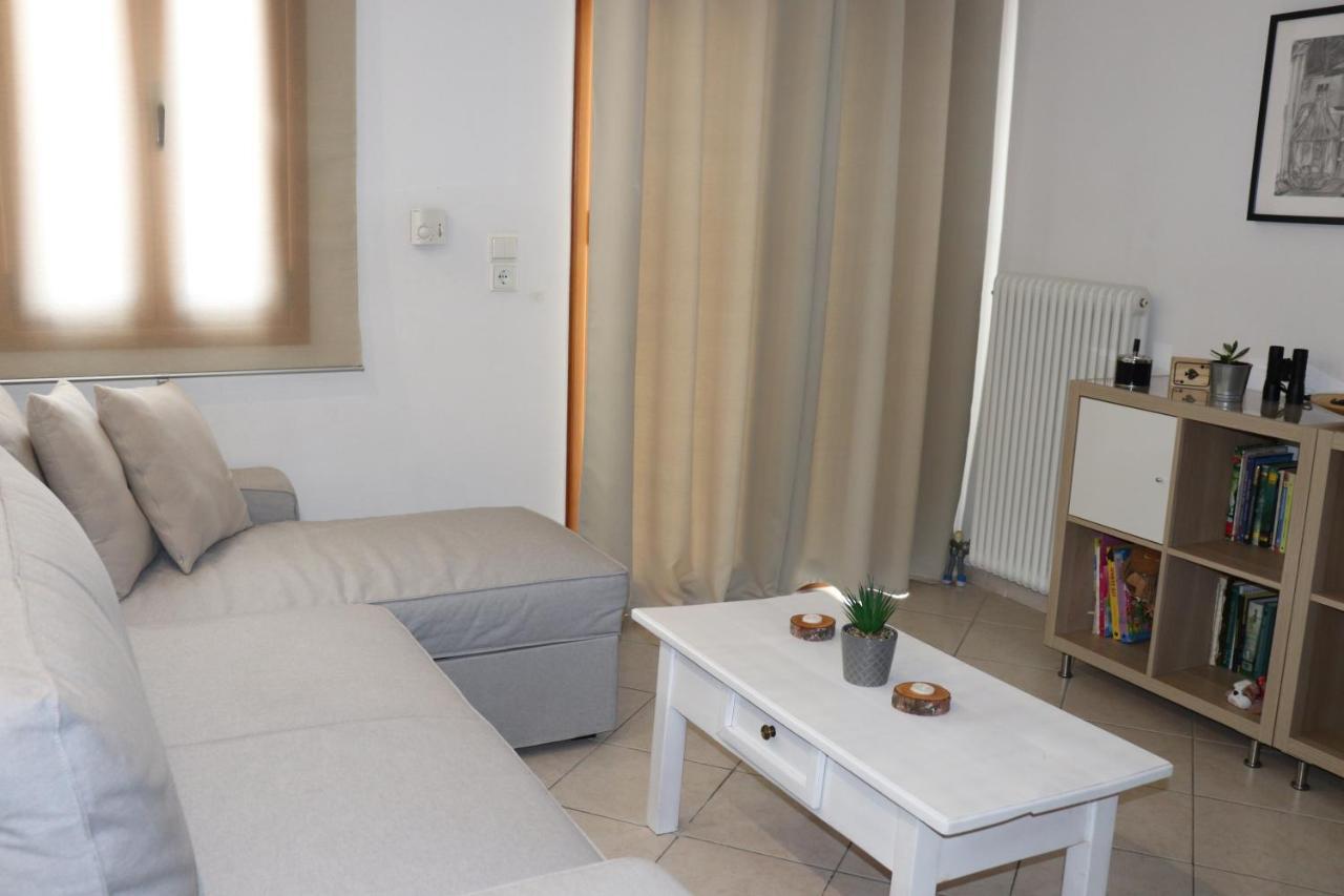 Baou House Apartment Metsovo